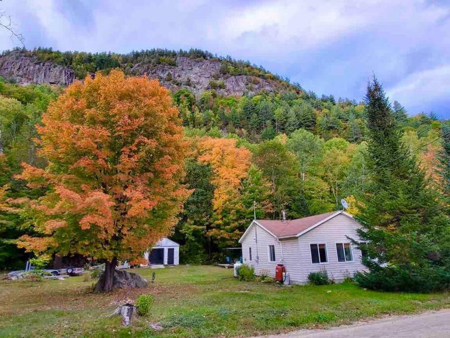 Chalet Falaise By Chalets Nabu Villa Saint-Alexis-des-Monts Bagian luar foto